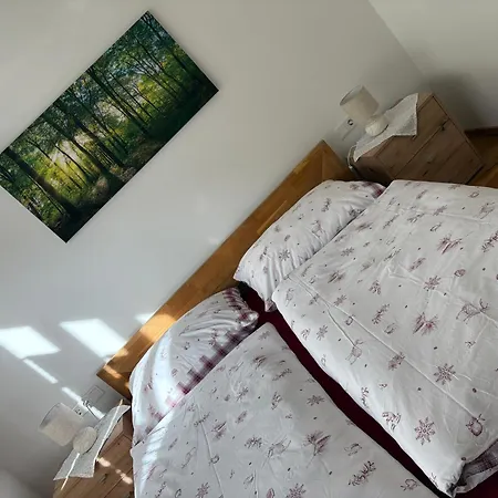 Baderhaus Johann Appartement
